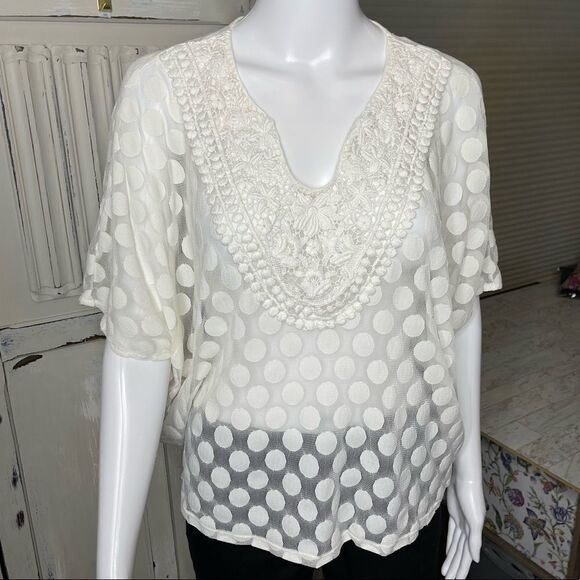 Alfani Off White Sheer Embroidered Neckline Pullover Blouse Top Size PM - Picture 1 of 12